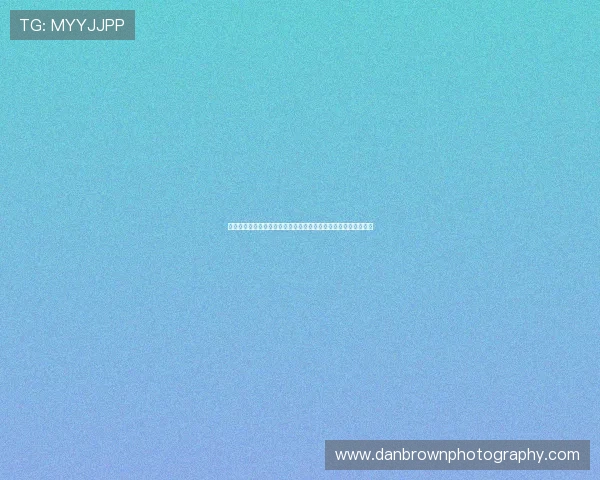 探寻新时代朝鲜族企业家多元化奋斗与创新发展路径深度综合研究